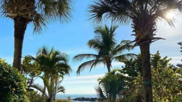 Upham Beach y su asombrosa naturaleza (el paraíso en Florida que no conoces)